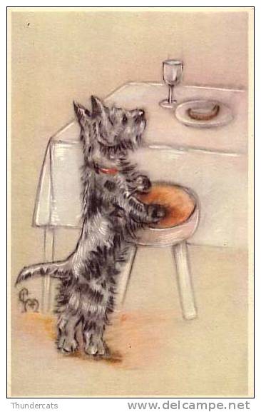 CPA ILLUSTRATEUR DESSIN ERNA MAISON CHIEN CHIENS  ** ARTIST DRAWN CARD DOG DOGS  ** COLOPRINT SPECIAL - Honden